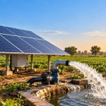 Oswal Pumps: solar panels powering a water pump on an irrigated farm at sunrise